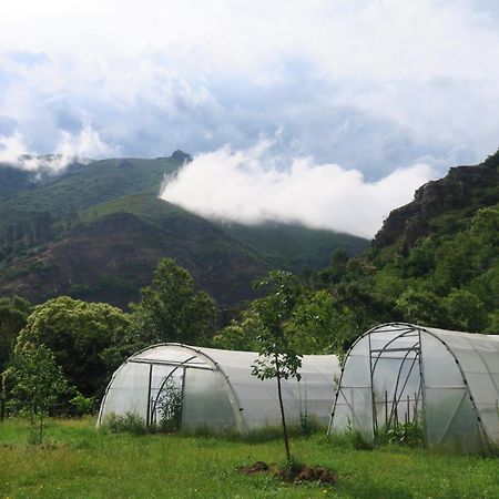 Casa Rural Chao De Castro Riodeporcos Eksteriør billede