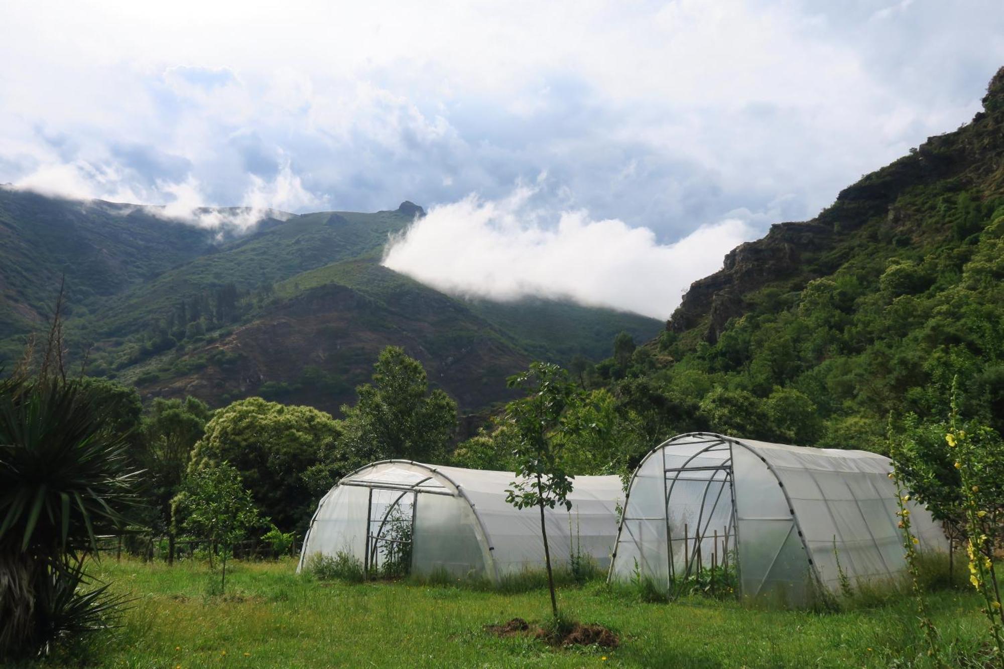 Casa Rural Chao De Castro Riodeporcos Eksteriør billede